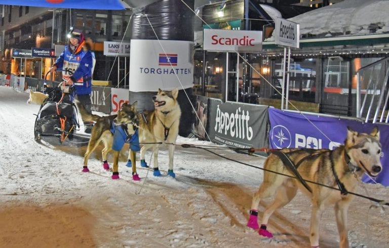 Jacobine Langstein like etter målgang i Finnmarksløpet. (Foto Kaja M Strømsvåg)