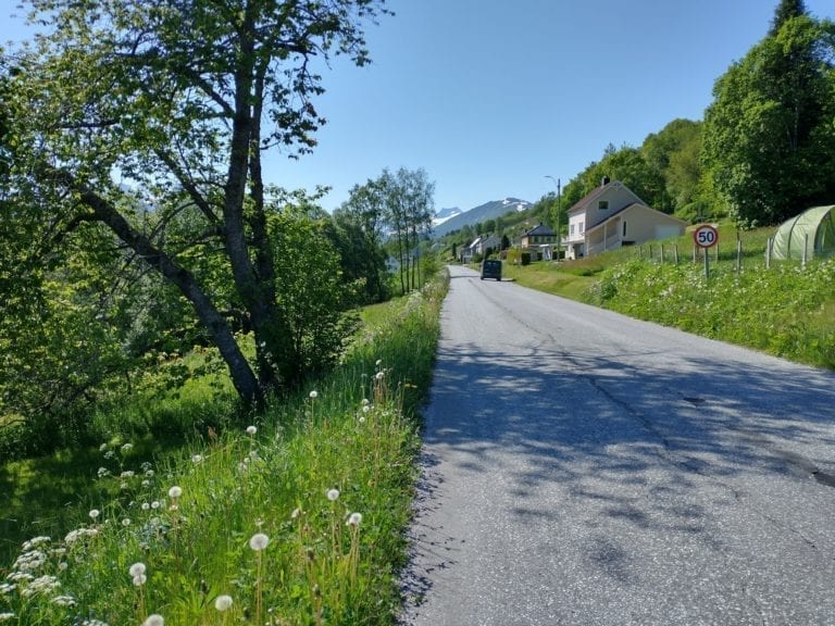 Lokal bilveg ein sommardag.