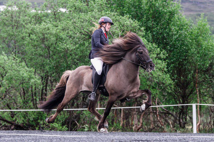 Premieplukkar. Ingrid Sofie Krogsæter og Vigrid fekk prisen for «God og harmonisk riding» i helga. No lader dei opp til NM. (Foto, Gry Elisabeth Nedal)